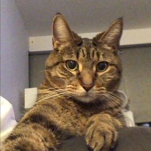 Meet your Posher, Alexander